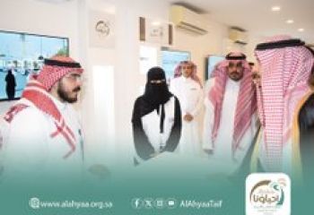 مبادرة التكامل التنموي